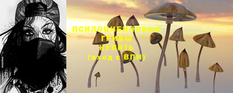 Галлюциногенные грибы MAGIC MUSHROOMS  Севастополь 